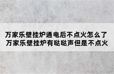 万家乐壁挂炉通电后不点火怎么了 万家乐壁挂炉有哒哒声但是不点火